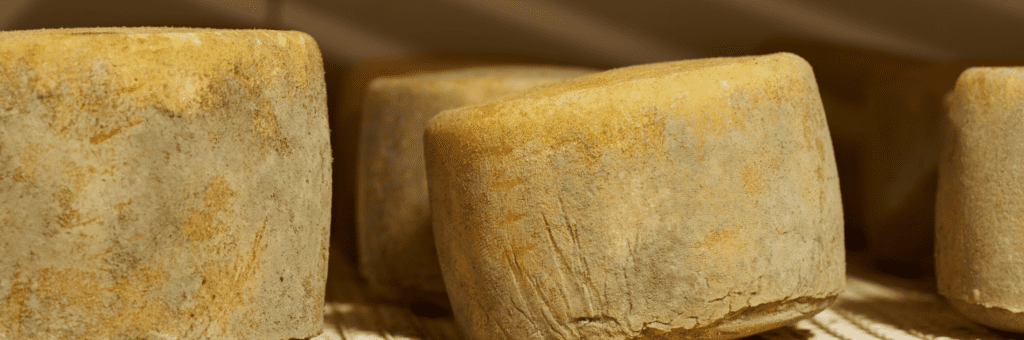 French cheese in storage